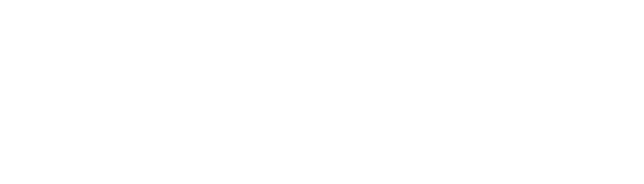 Softechnogeek Logo